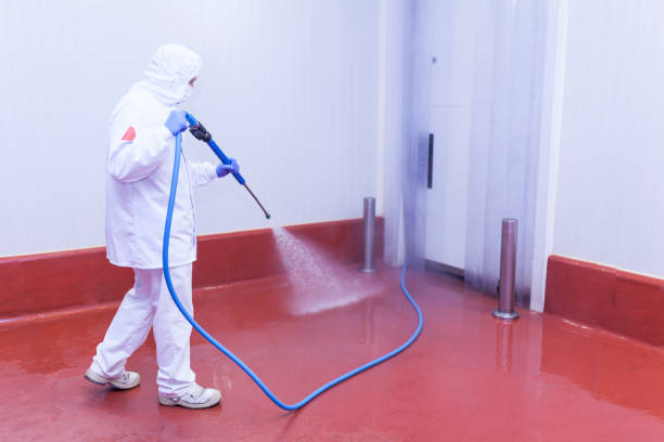 Best Sidewalk and Walkway Cleaning  in Lone Tree, CO